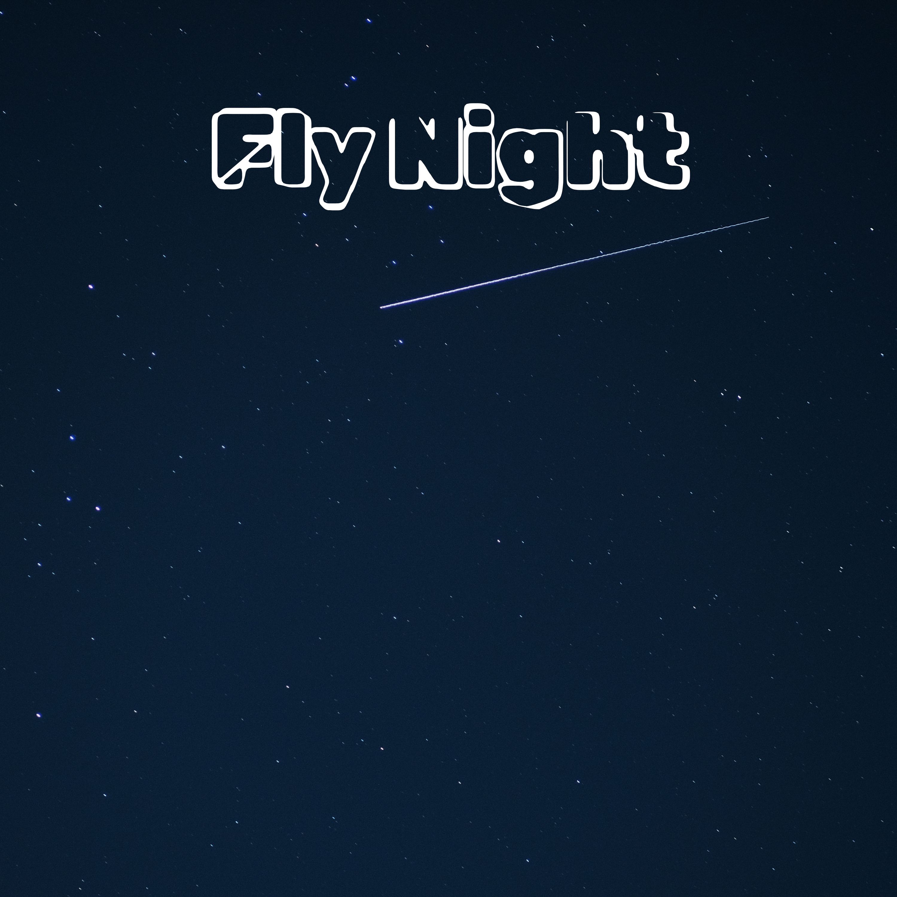 Fly Night - Single album cover