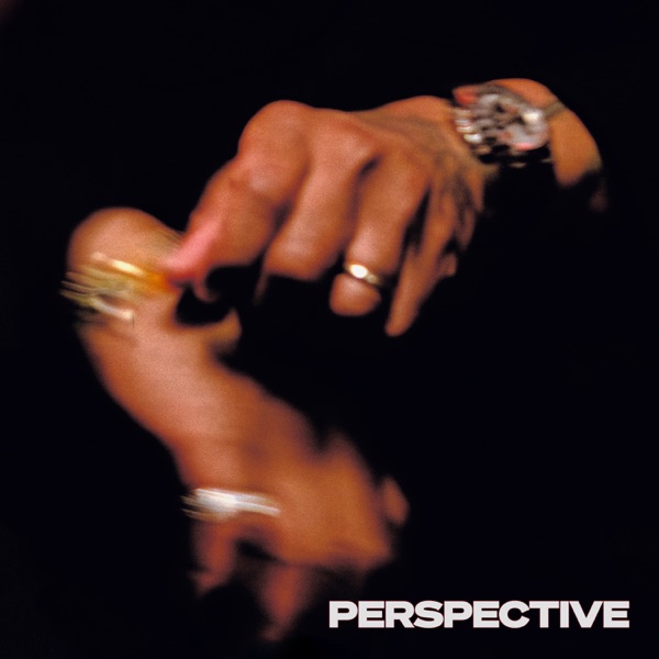 PERSPECTIVE album cover