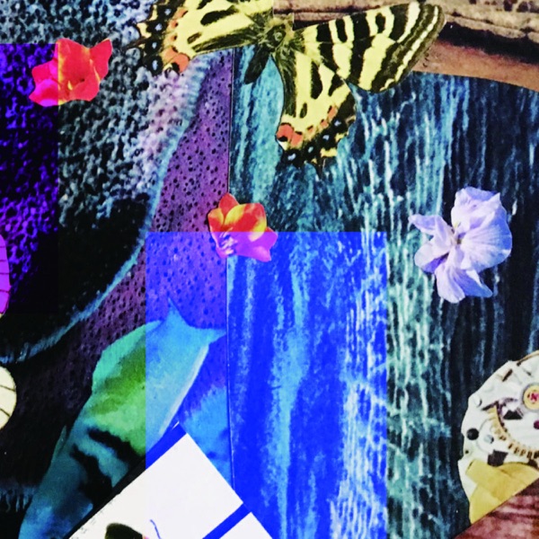 Insect 801 album cover