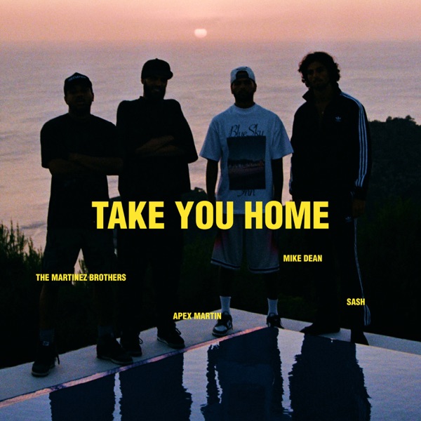 TAKE YOU HOME - Single album cover