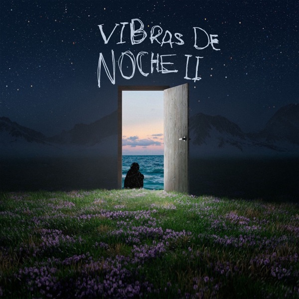 Vibras De Noche II album cover