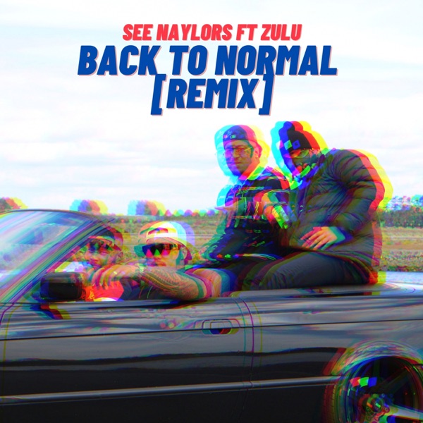 Back to Normal (feat. Anthony B & Zulu) - Single album cover