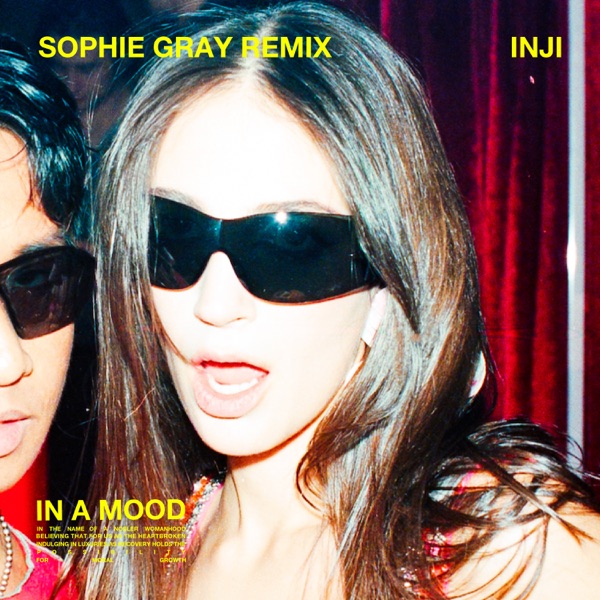 IN A MOOD (Sophie Gray Remix) - Single album cover