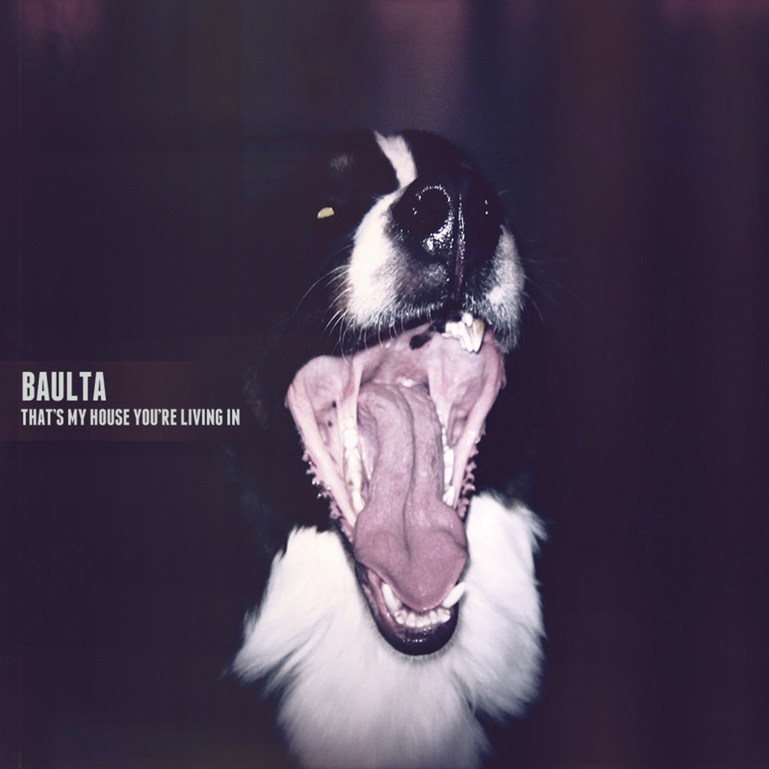 That's My House You're Living In album cover