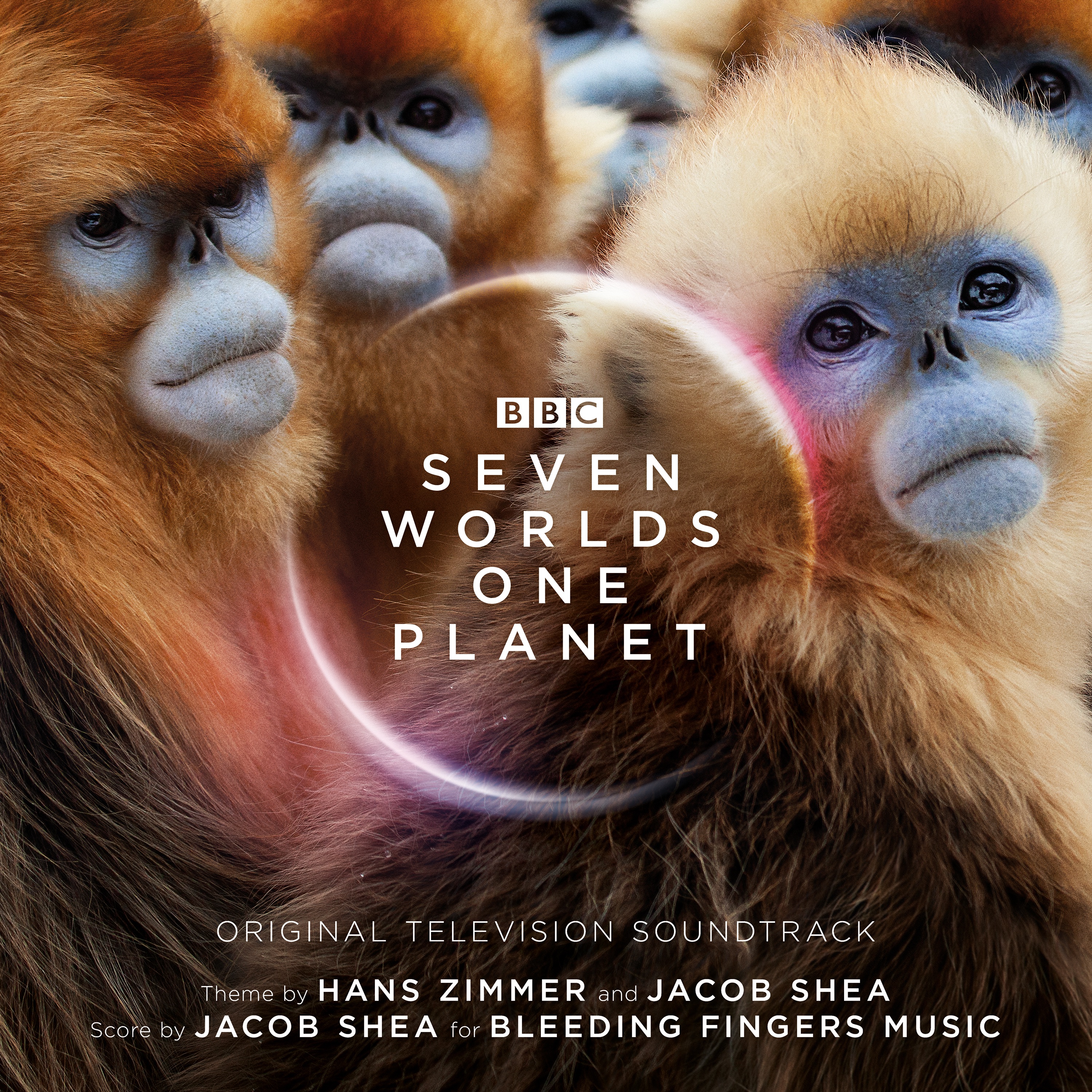 Seven Worlds One Planet (Original Television Soundtrack) album cover