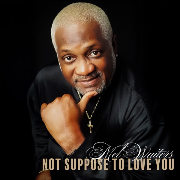 Not Suppose To Love You - Single album cover
