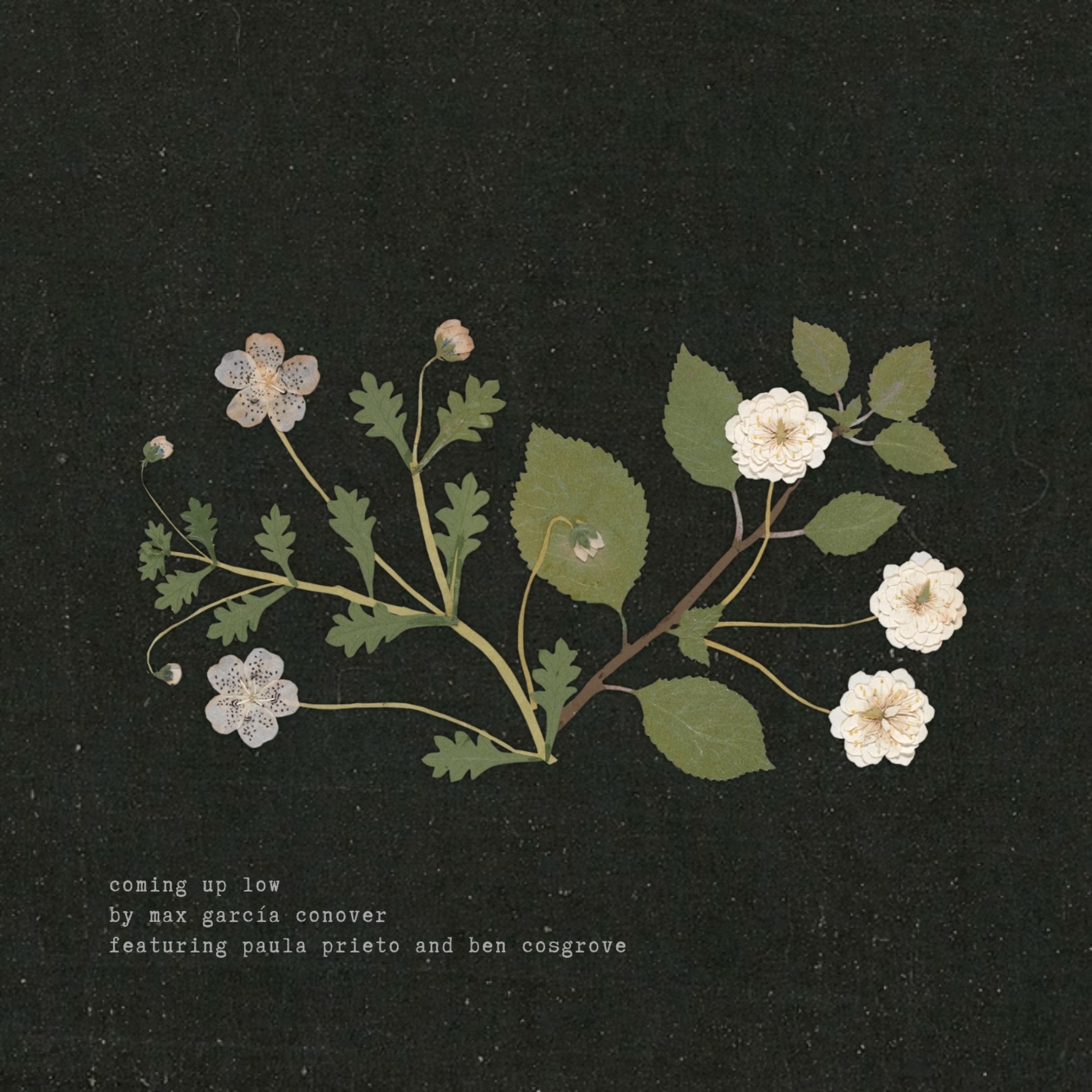 coming up low (feat. Paula Prieto & Ben Cosgrove) - Single album cover