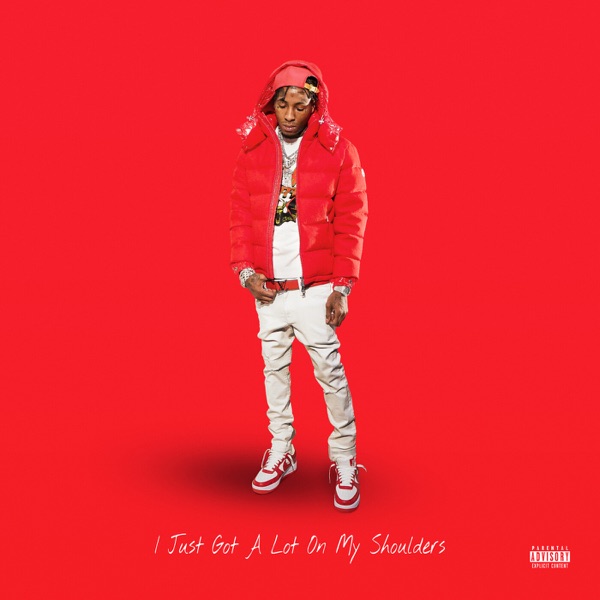 I Just Got A Lot On My Shoulders album cover