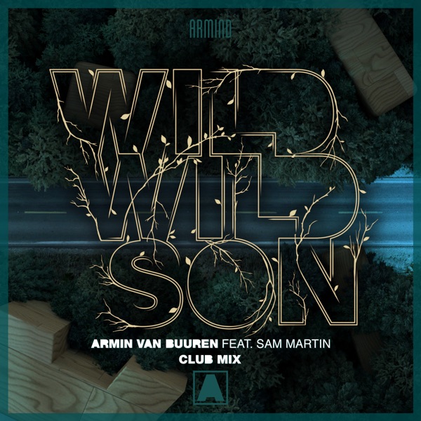 Wild Wild Son (feat. Sam Martin) [Club Mix] - Single album cover