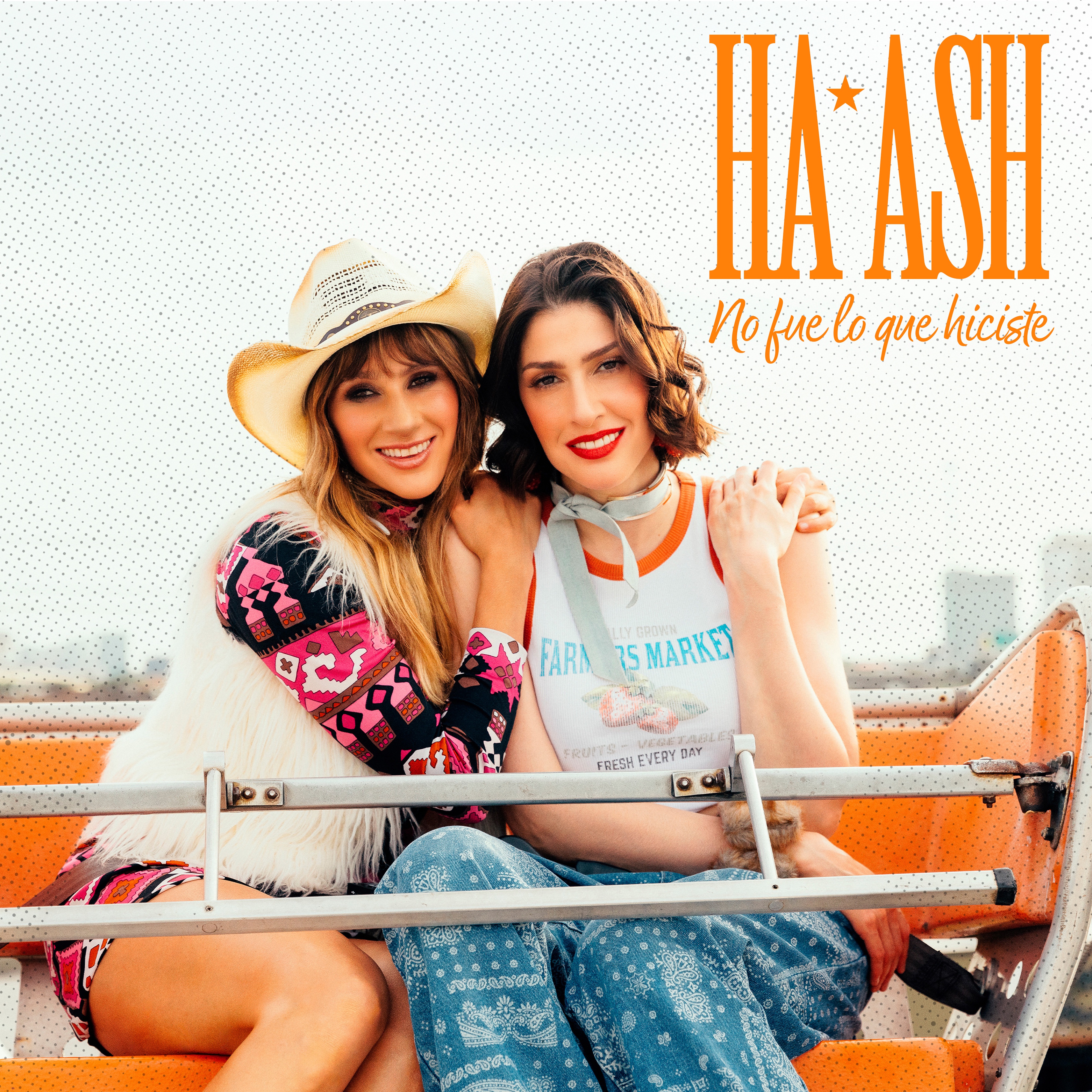 No Fue Lo Que Hiciste - Single album cover