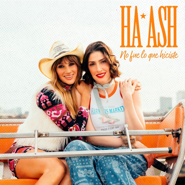 No Fue Lo Que Hiciste - Single album cover