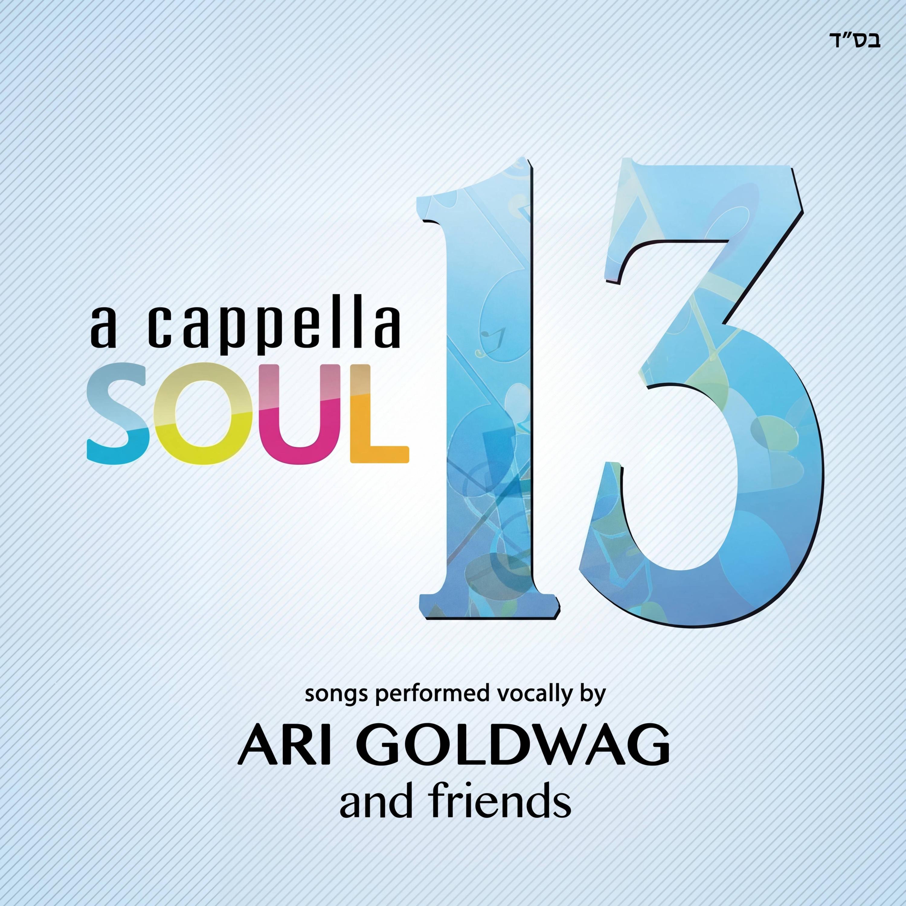 A Cappella Soul 13 album cover
