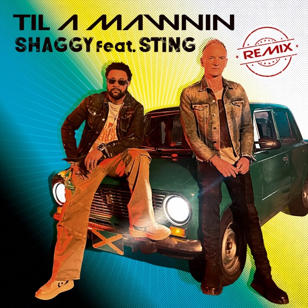 Til A Mawnin (feat. Sting) [Remix] - Single album cover