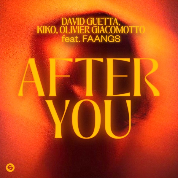After You (feat. FAANGS) - Single album cover