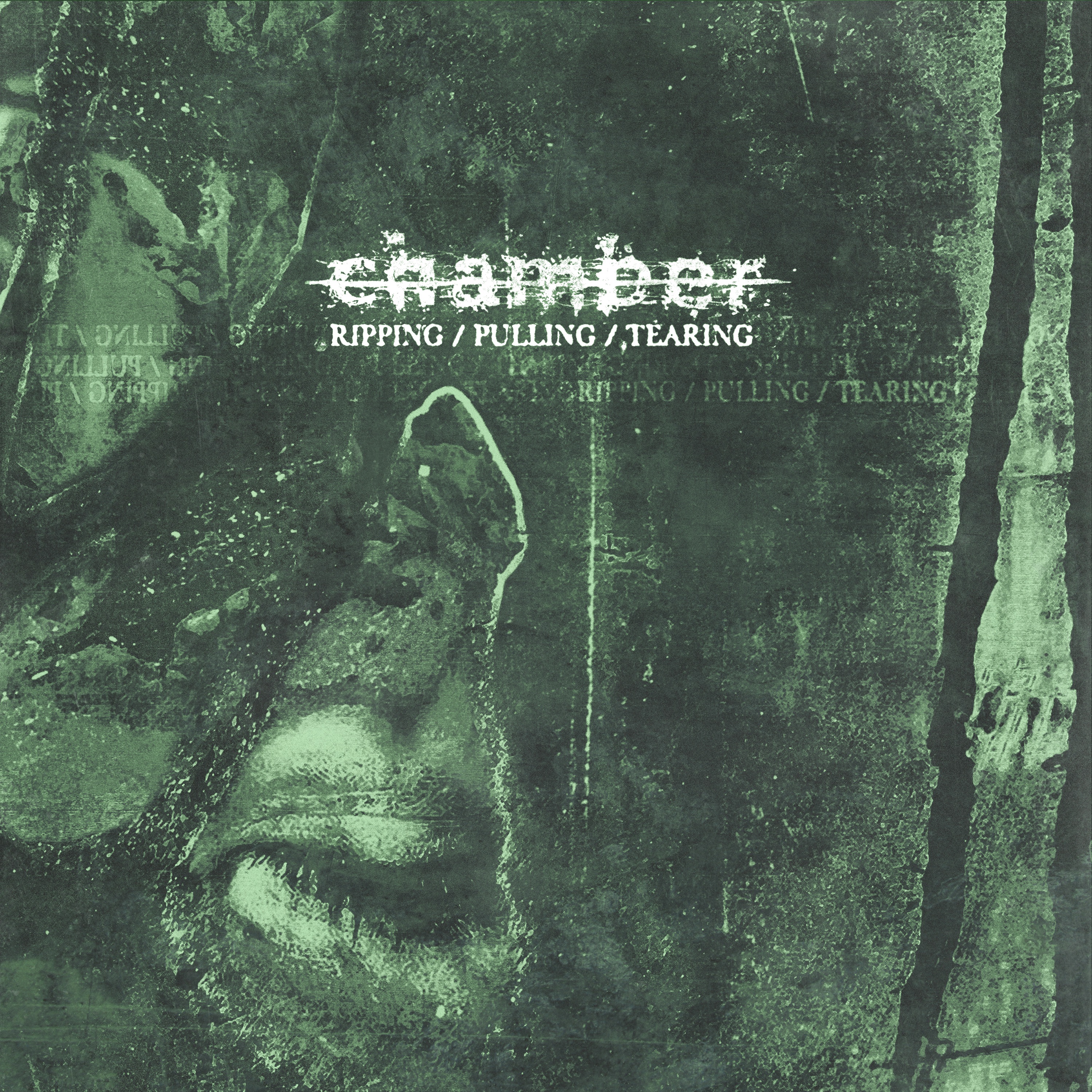 Ripping / Pulling / Tearing album cover