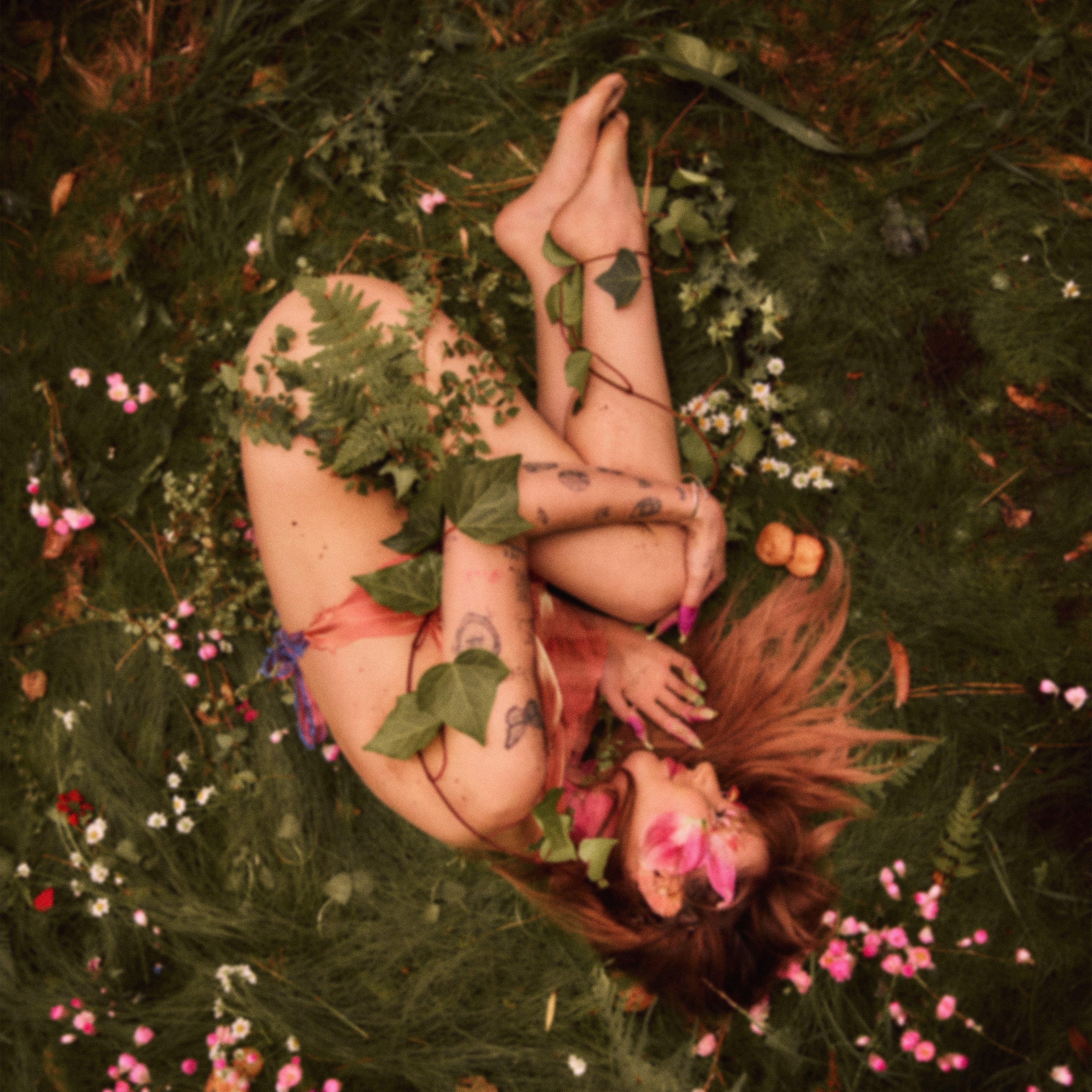 Porcelain album cover
