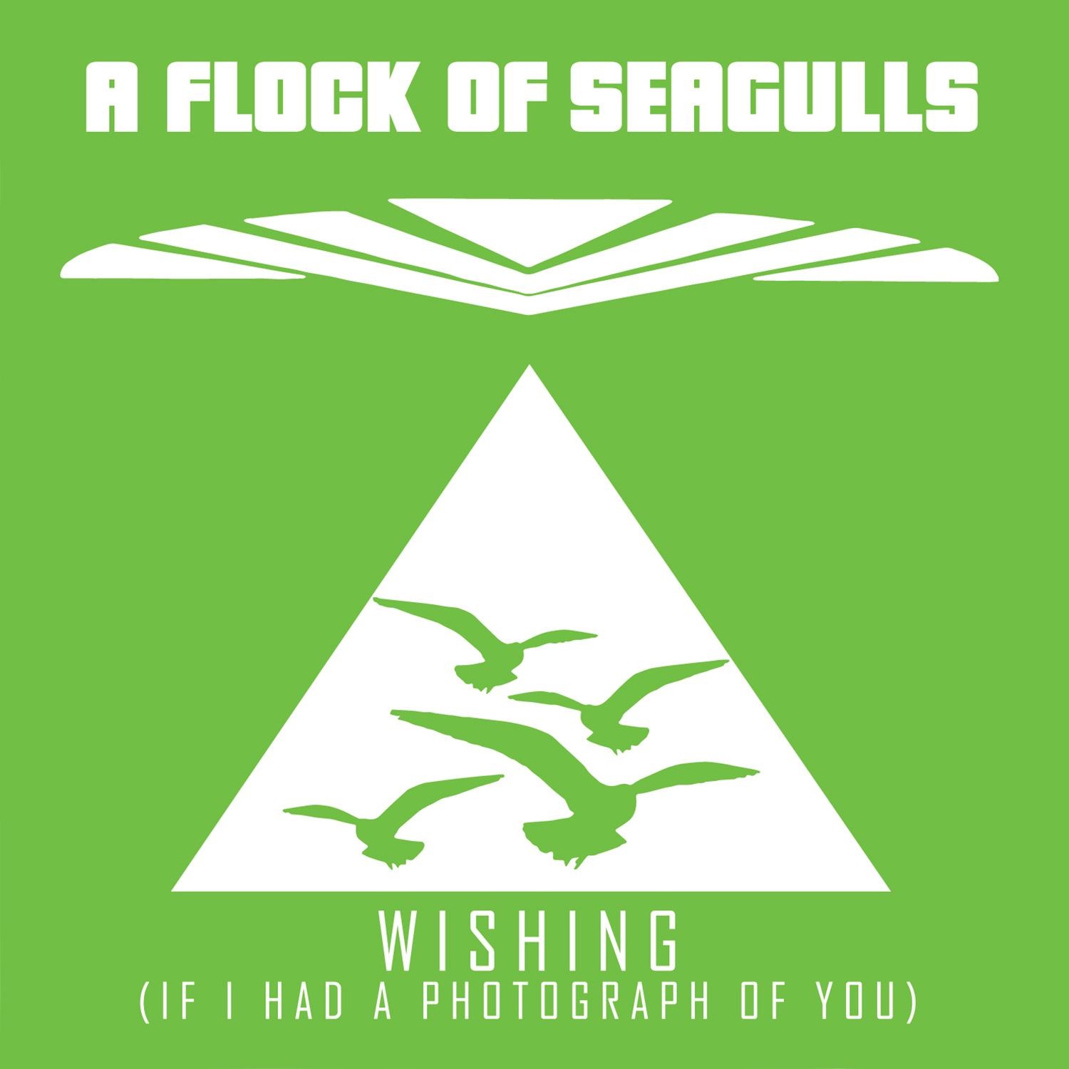 Wishing (If I Had A Photograph Of You) album cover