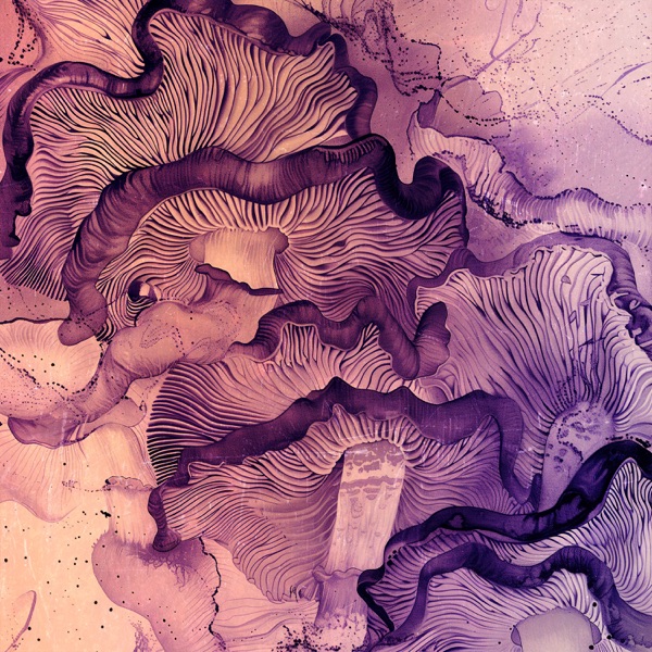 Amy Beach: Op. 54, No. 1. Scottish Legend - Single album cover