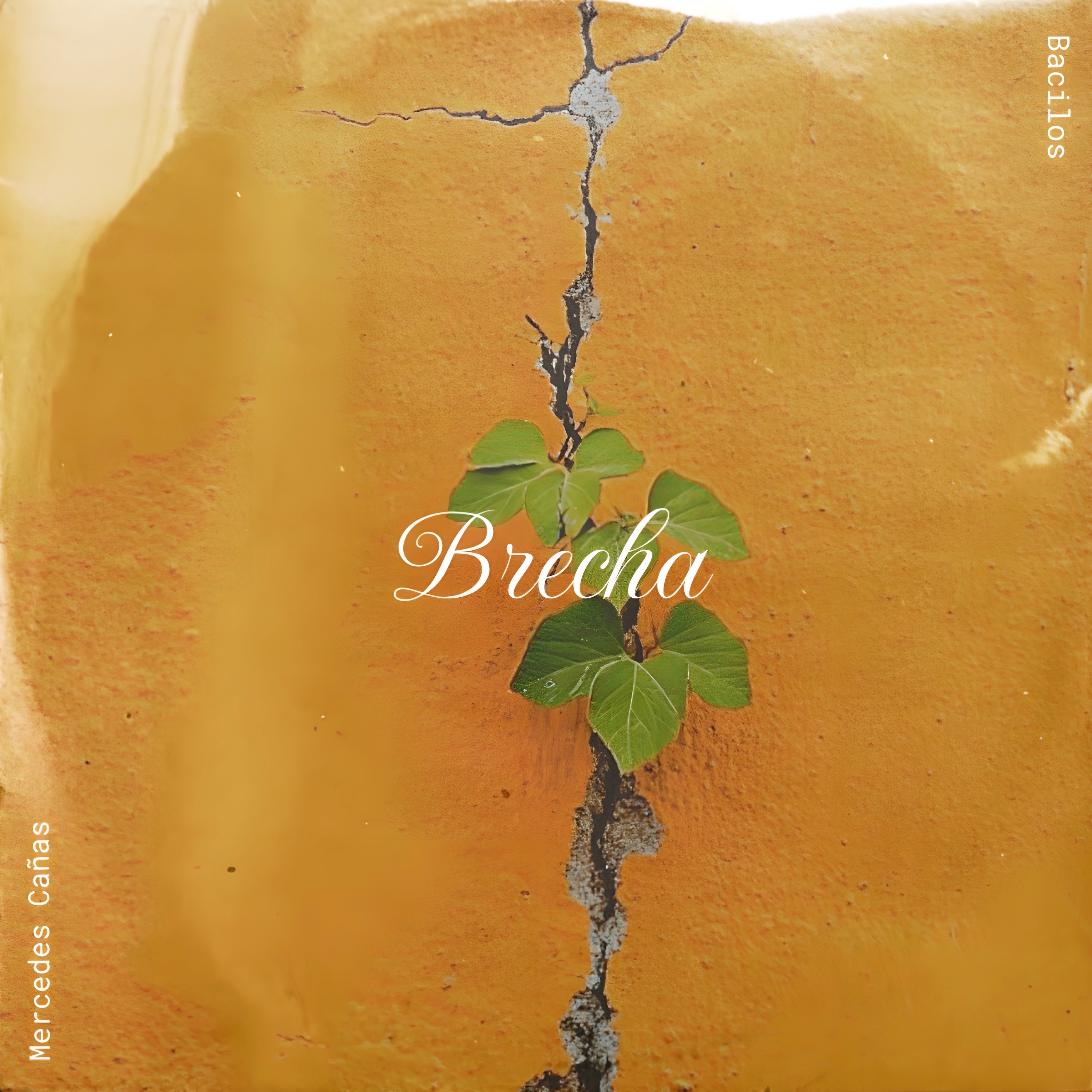 Brecha - Single album cover