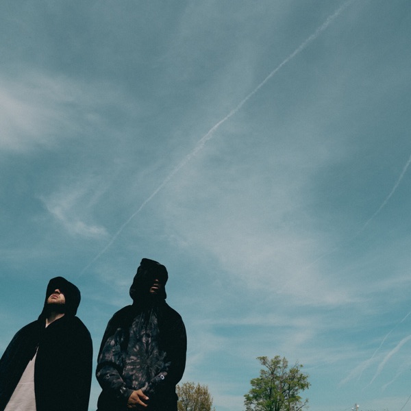 Too Too Much - Single album cover