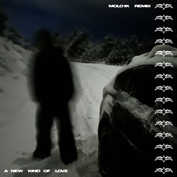 A new kind of love (Molo1k Remix) - Single album cover