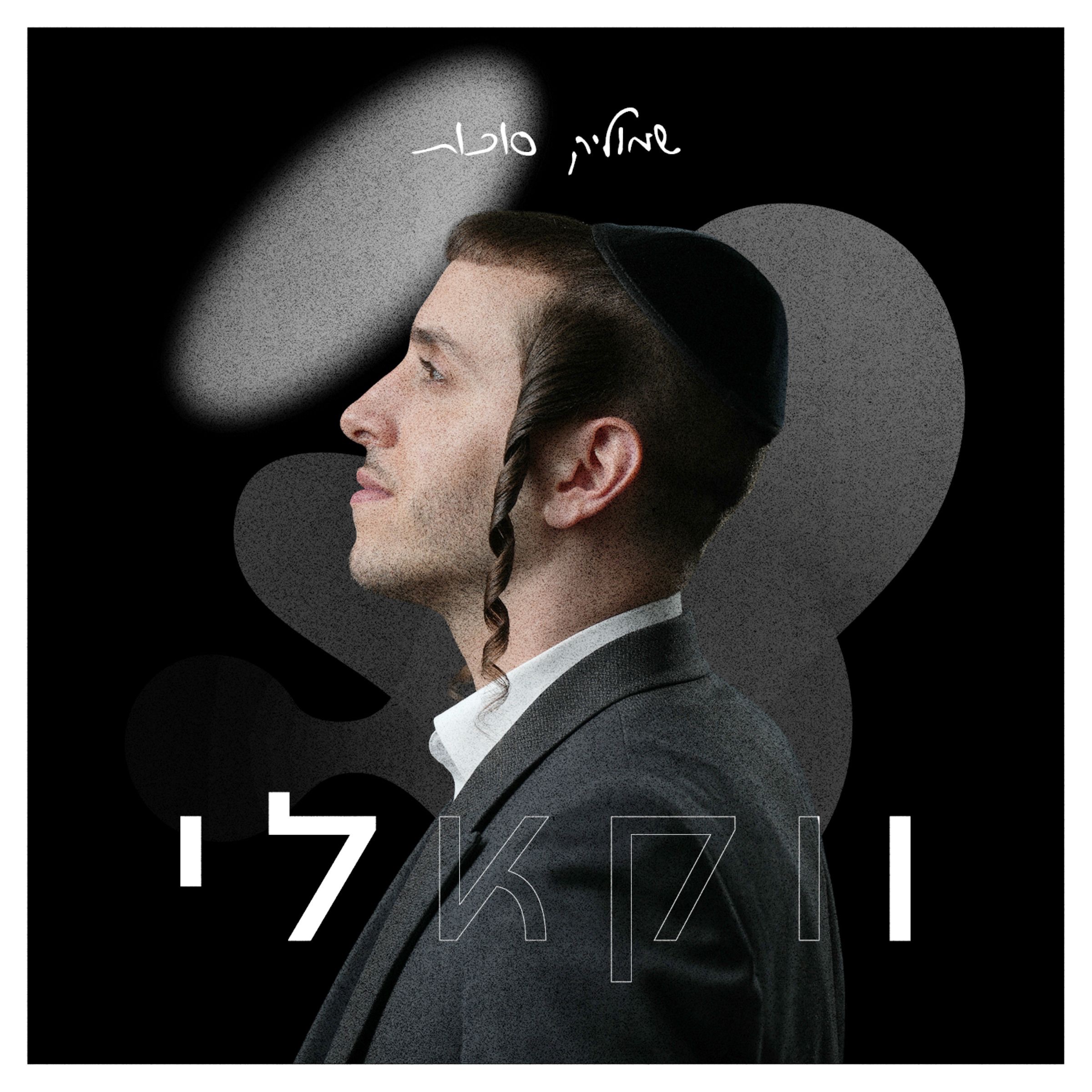 ווקאלי album cover