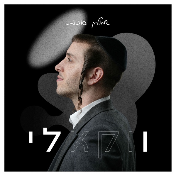 ווקאלי album cover