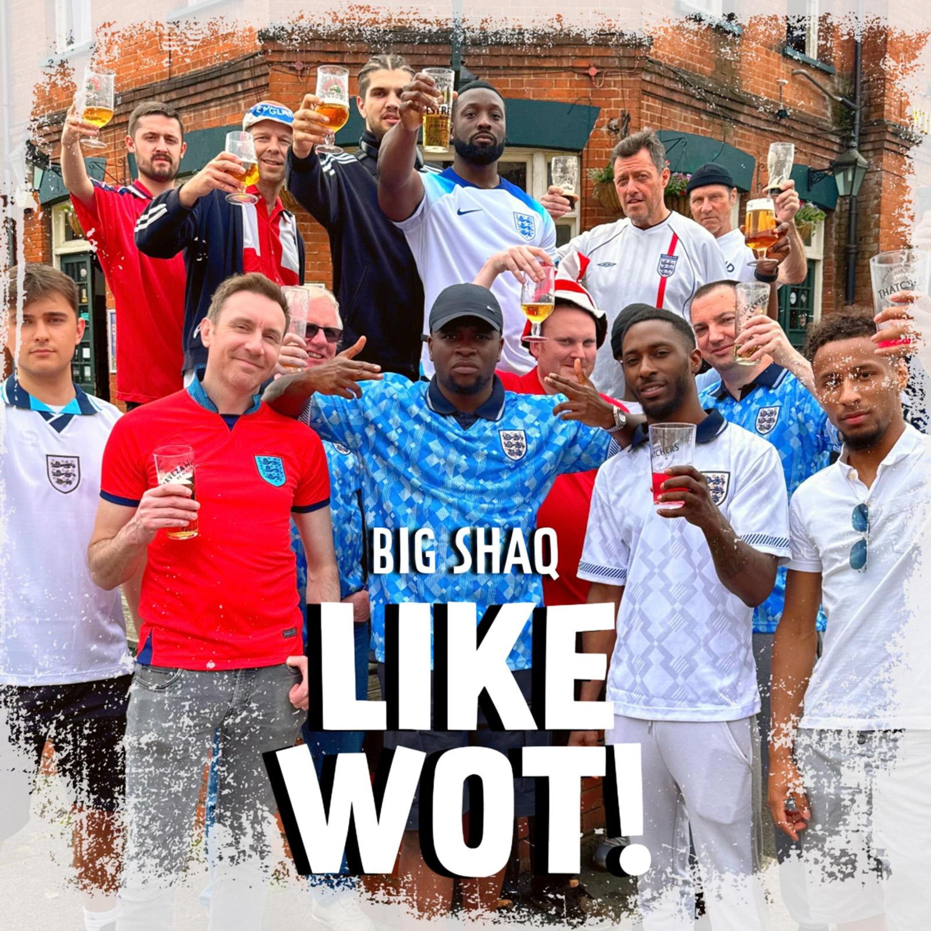 Like Wot! - Single album cover