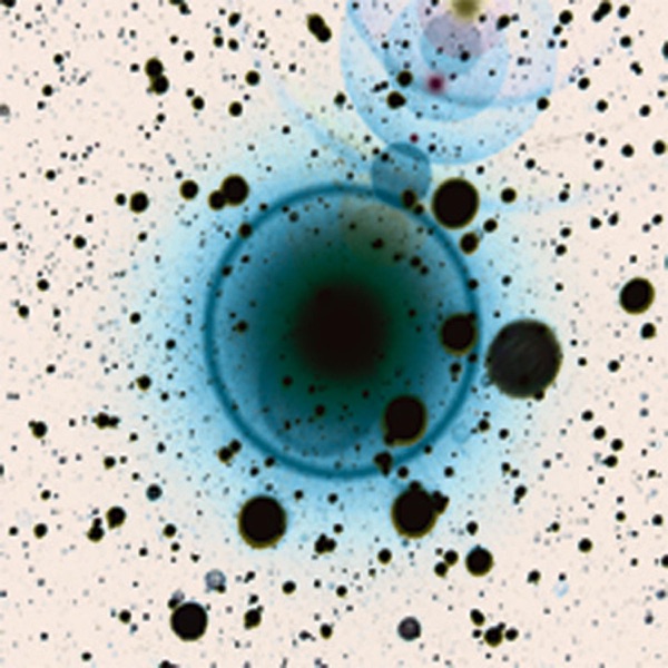 Simple Science - EP album cover