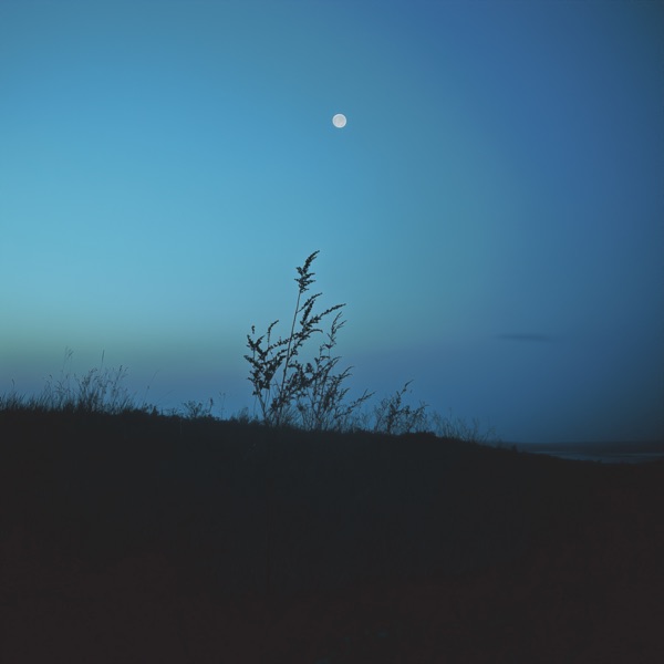 lost in thought - Single album cover