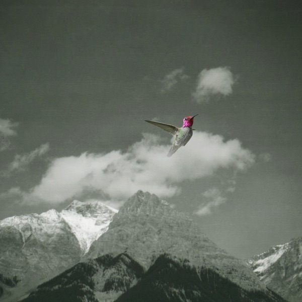 Melt Away album cover