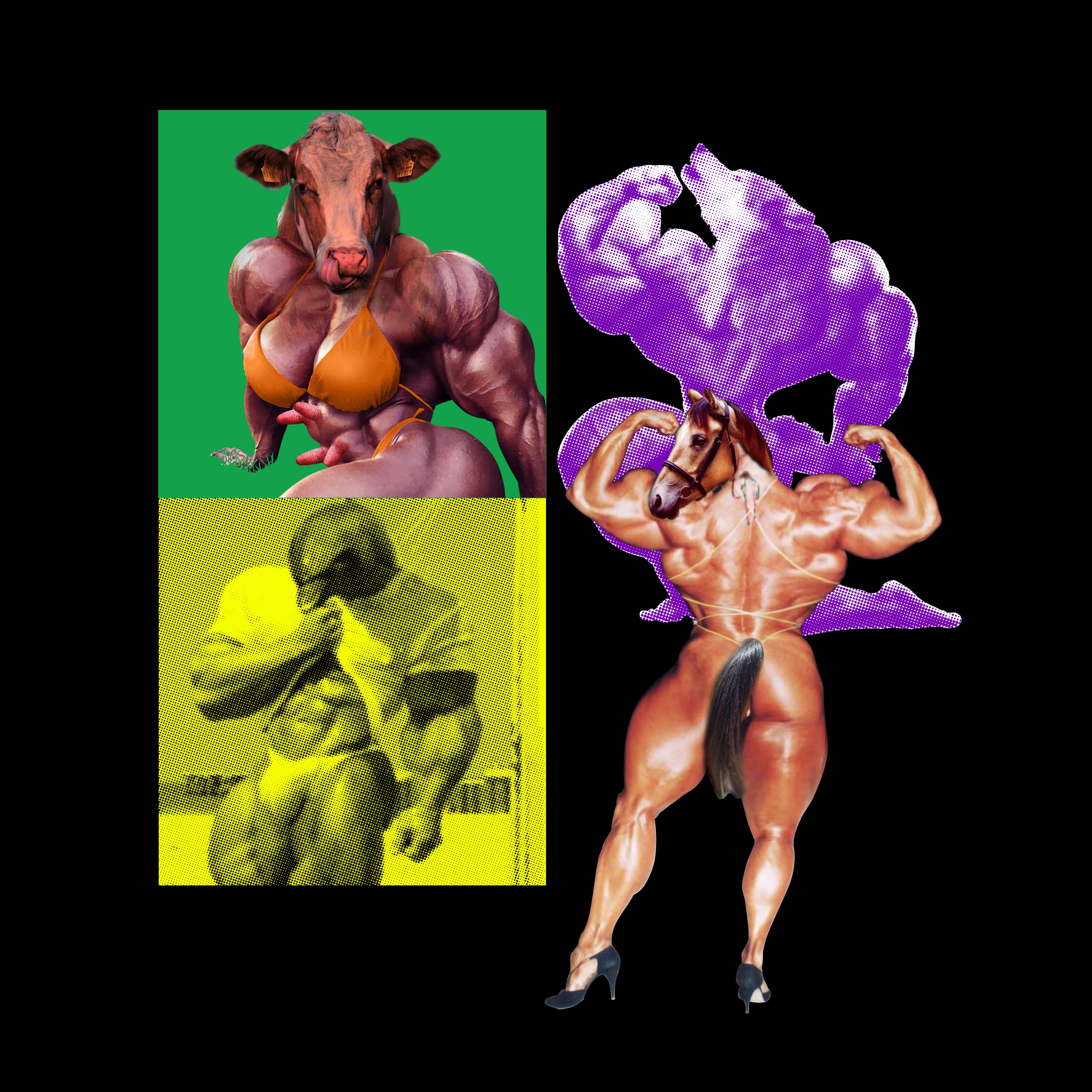 Airborne Lard album cover