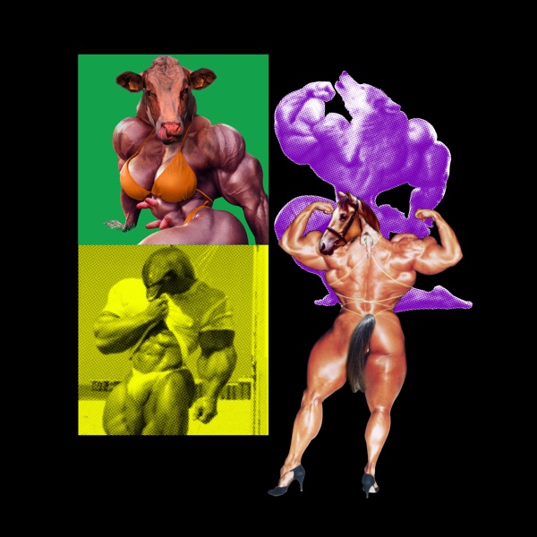 Airborne Lard album cover