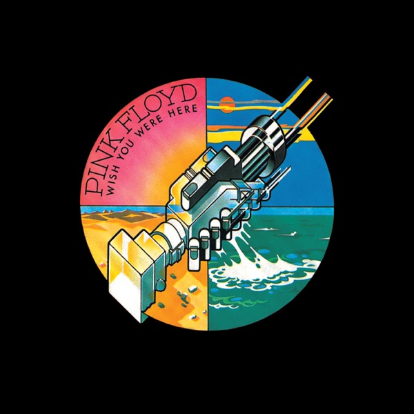 Have a Cigar (Alternate Version) - Single album cover