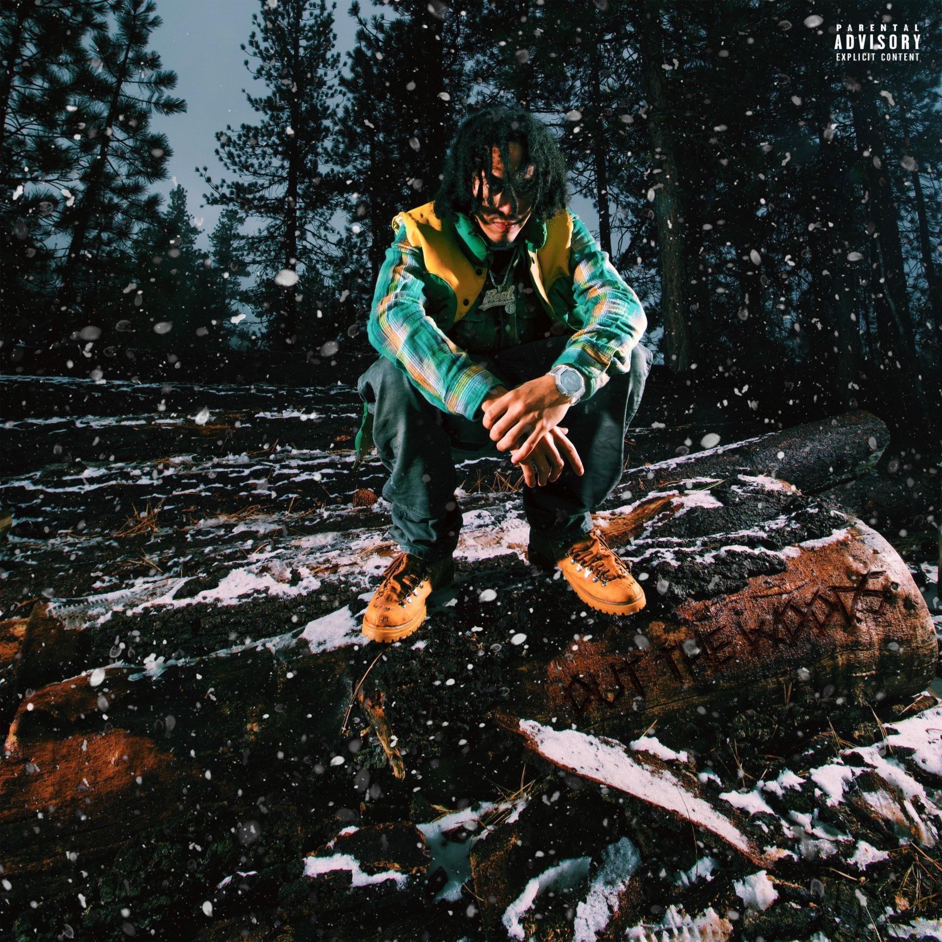 Out The Woods album cover