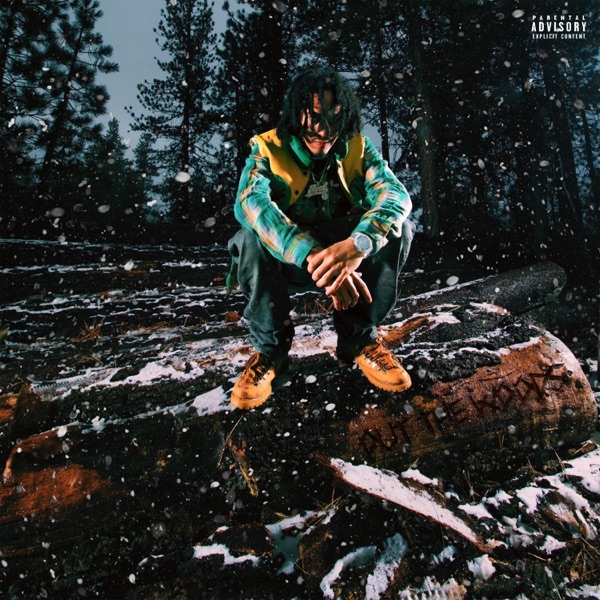 Out The Woods album cover