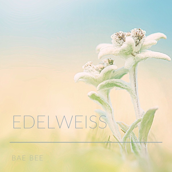 Edelweiss - Single album cover