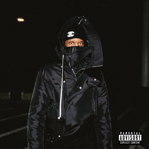 The Asset album cover