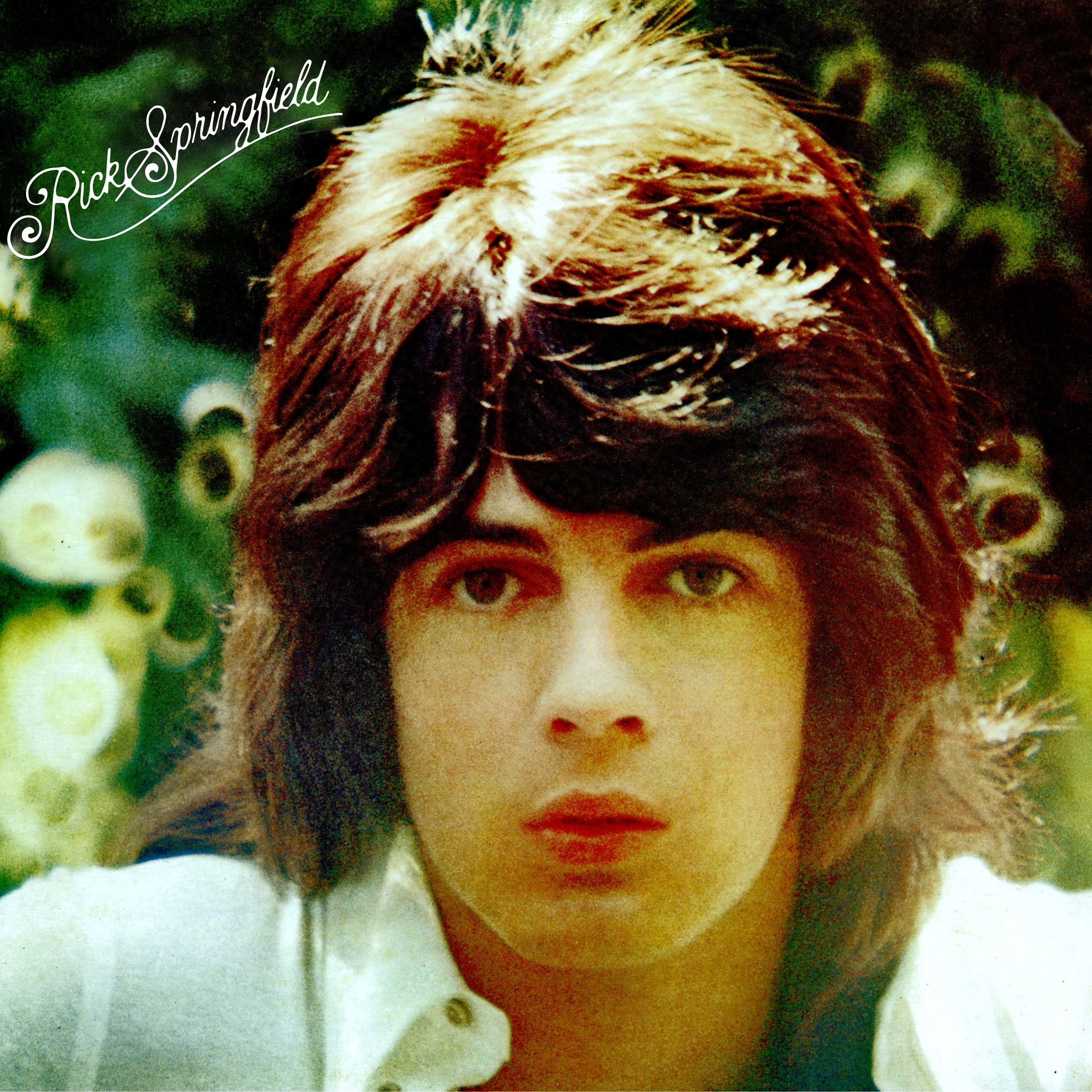 Beginnings album cover