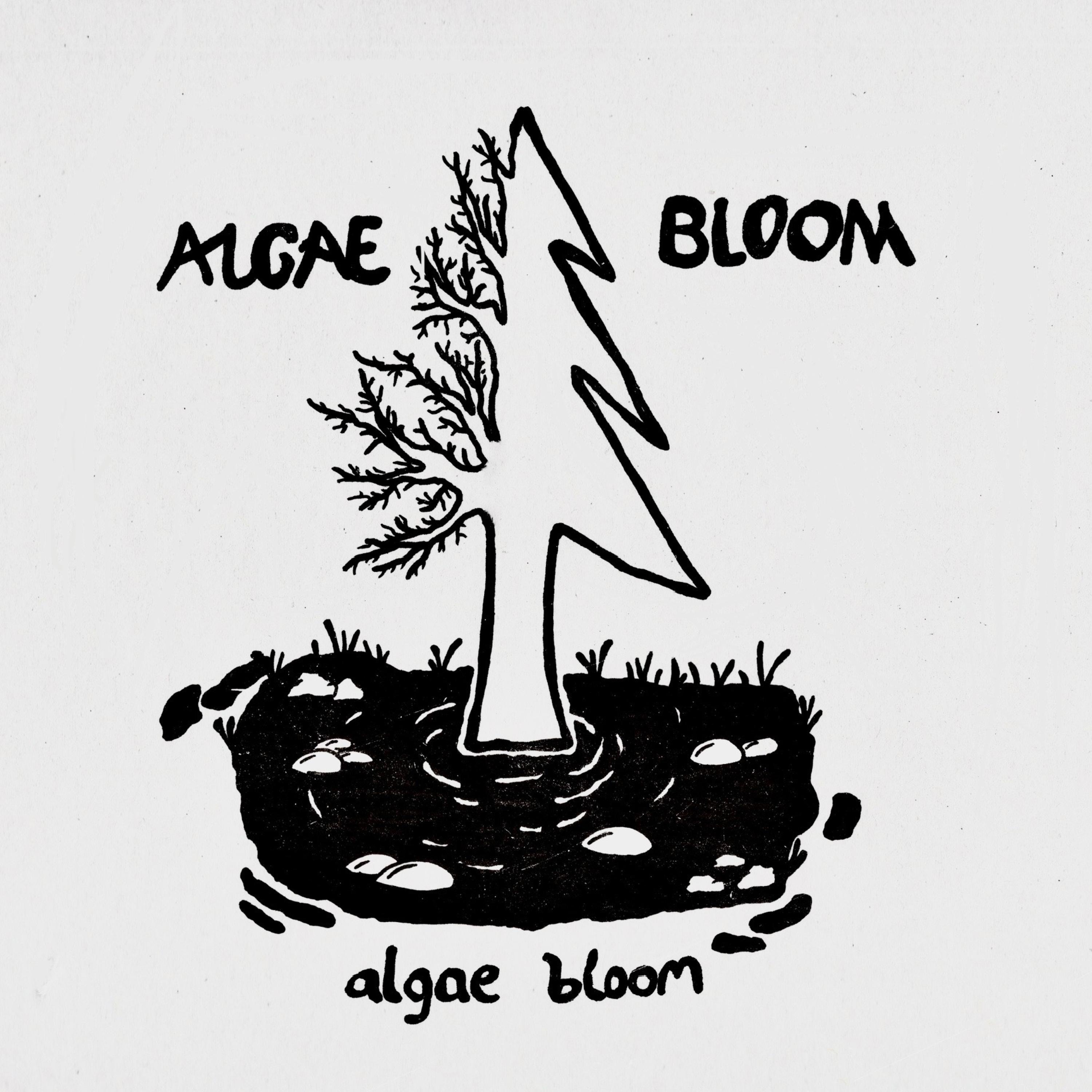 Algae Bloom - Single album cover