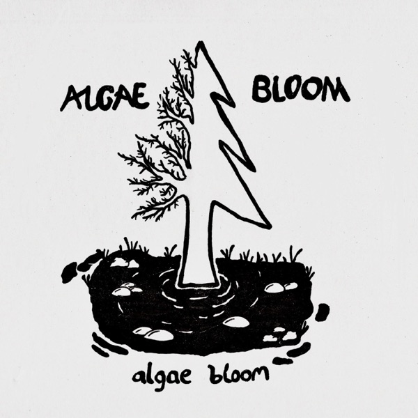 Algae Bloom - Single album cover