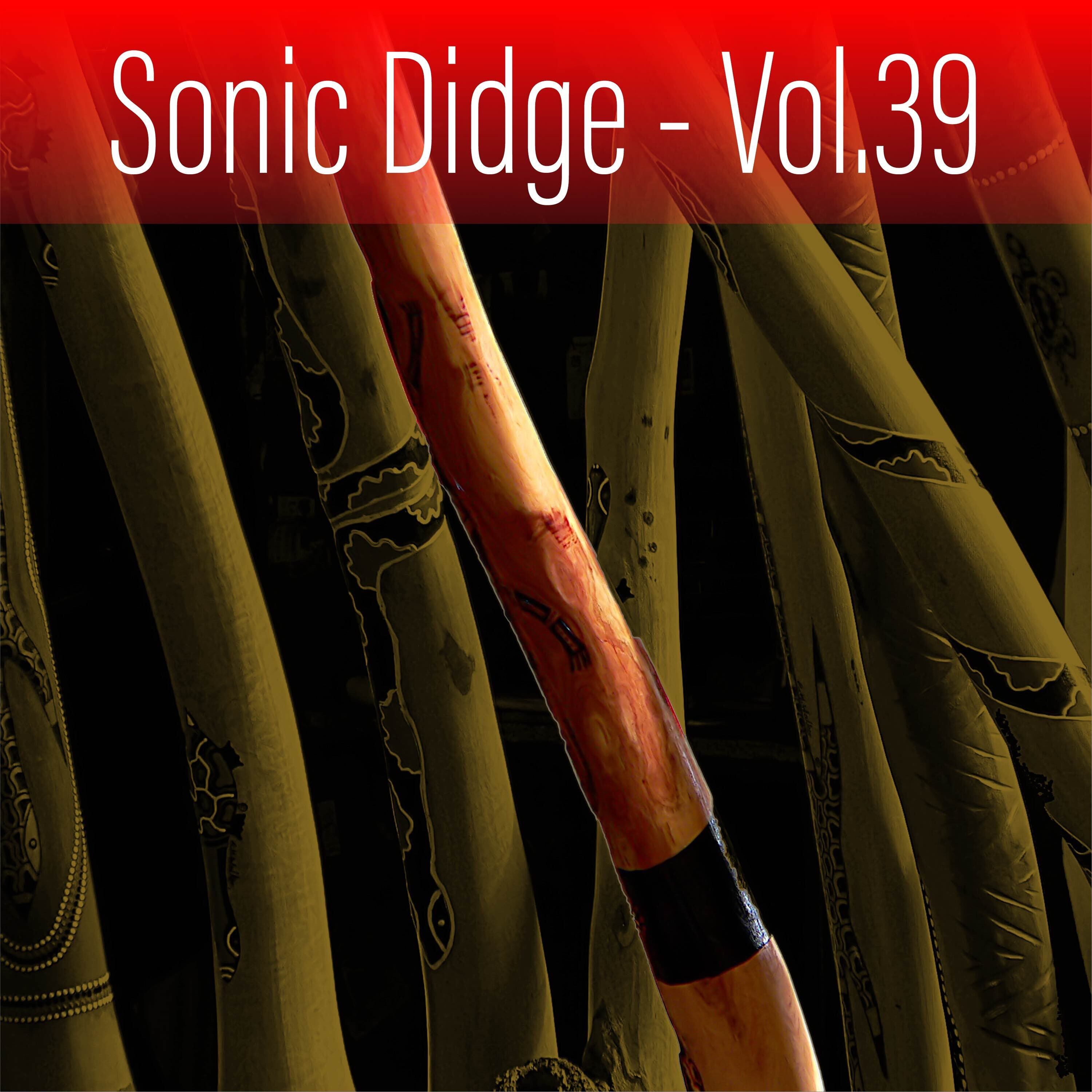 Sonic Didge, Vol. 39 album cover
