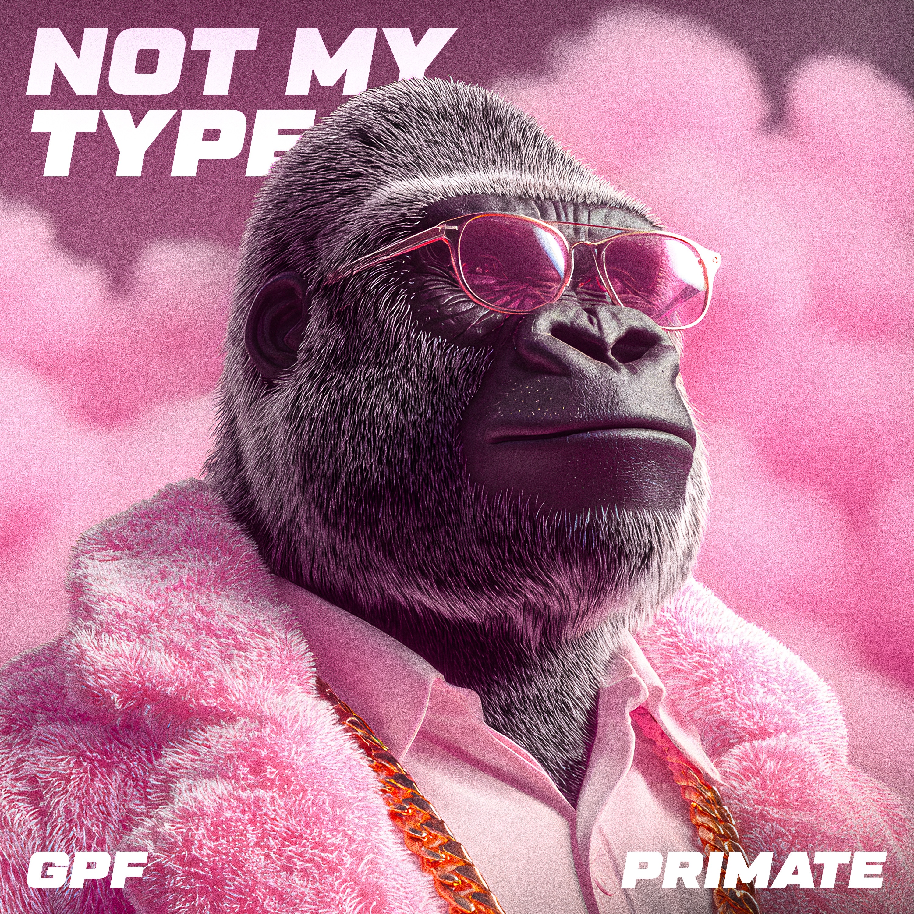 Not My Type - Single album cover