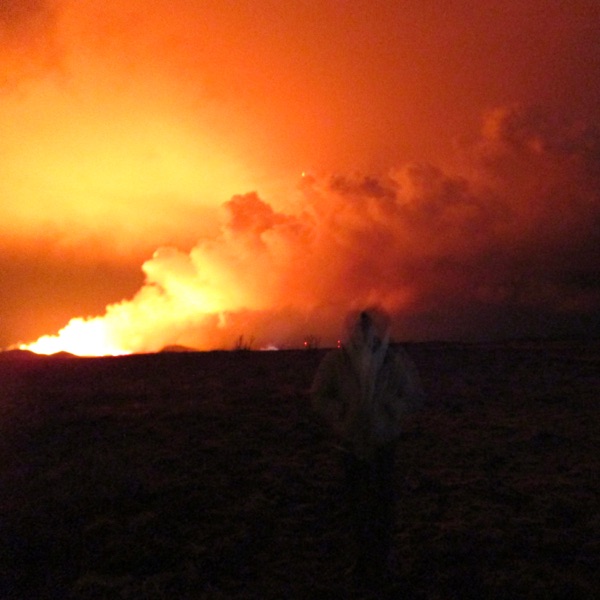 Burned It Down - Single album cover