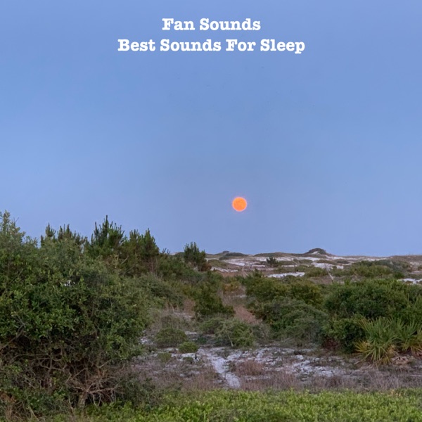 Best Sounds for Sleep album cover