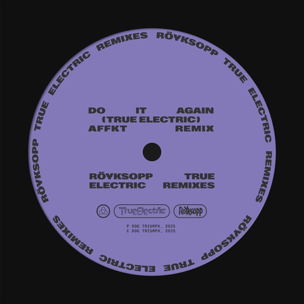 Do It Again (AFFKT Remix) [feat. Robyn] - Single album cover