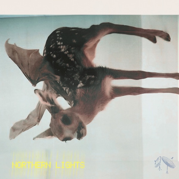 NORTHERN LIGHTS// - Single album cover