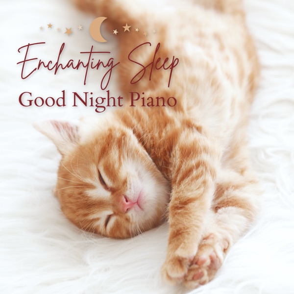 Enchanting Sleep Good Night Piano album cover