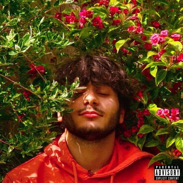 Who R They? - Single album cover