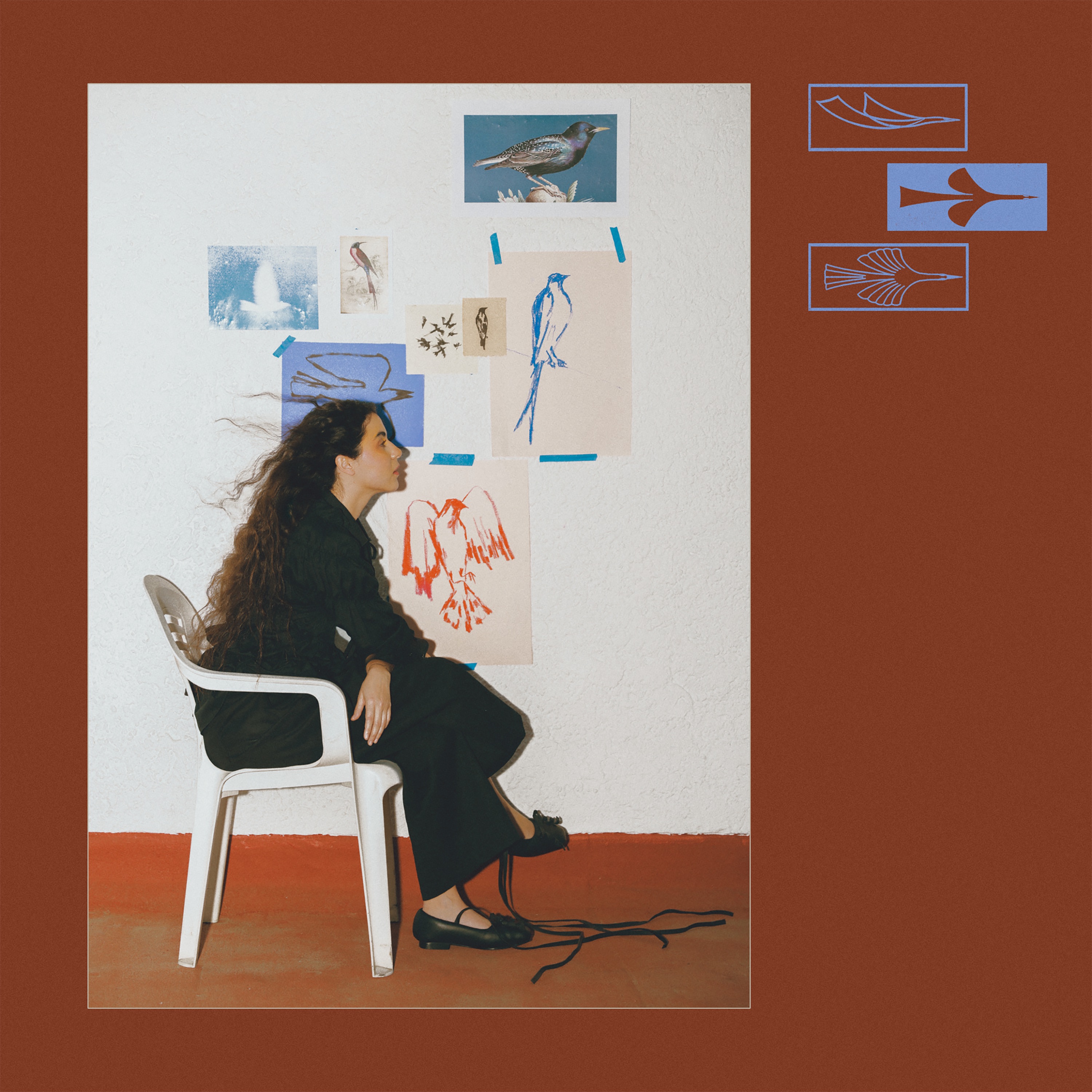 Como Un Pájaro - Single album cover